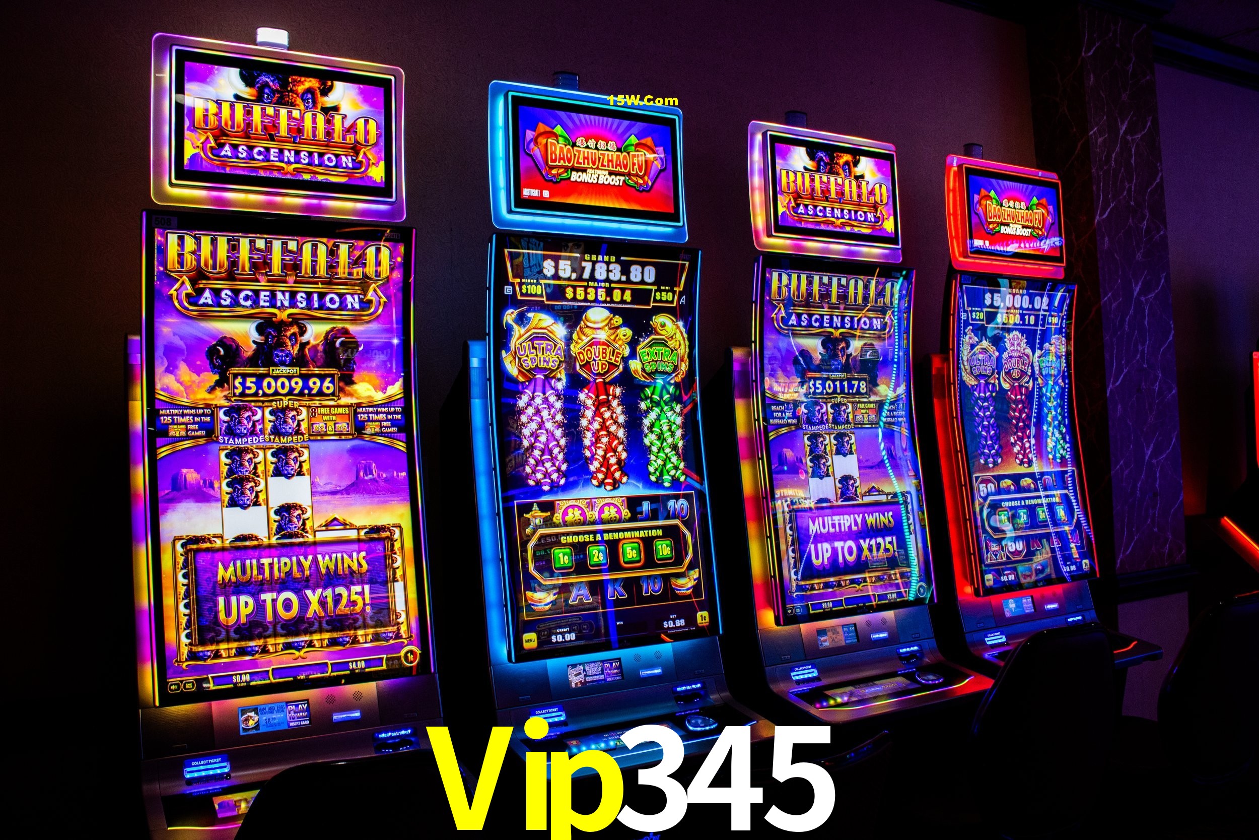 Experiência VIP Vip345